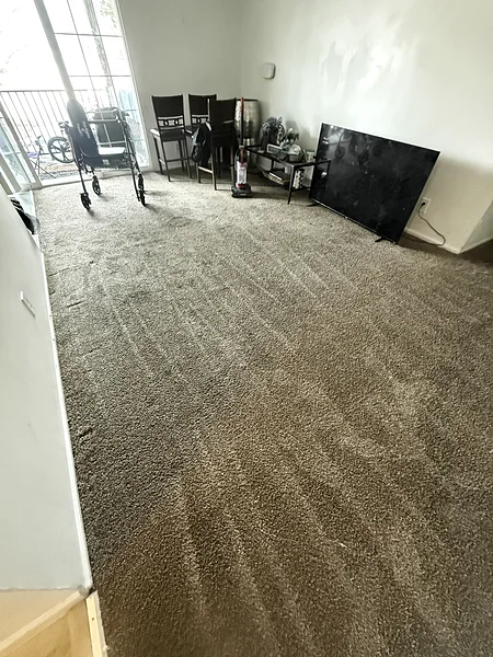 The same living room after the move-out clean: cleared out, with fresh vacuum lines in the carpet