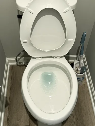 The same toilet after cleaning: bright white porcelain and a clean wood floor