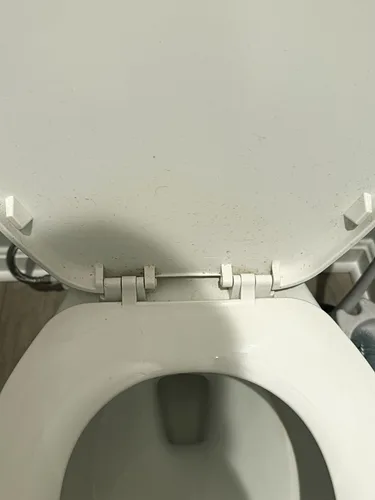 A bathroom toilet with the seat up before cleaning, on a wood floor