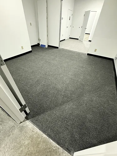 The same office carpet after cleaning: clean, even pile with fresh vacuum lines