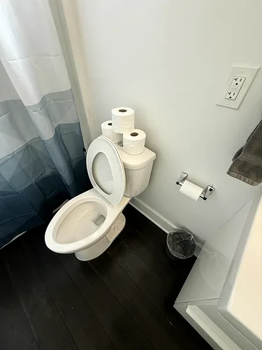 A clean rental toilet beside a freshly hung shower curtain